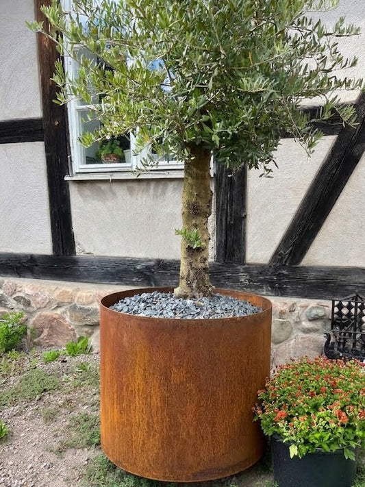 Rund odlingslåda i corten med rostig yta, fylld med grus och planta.